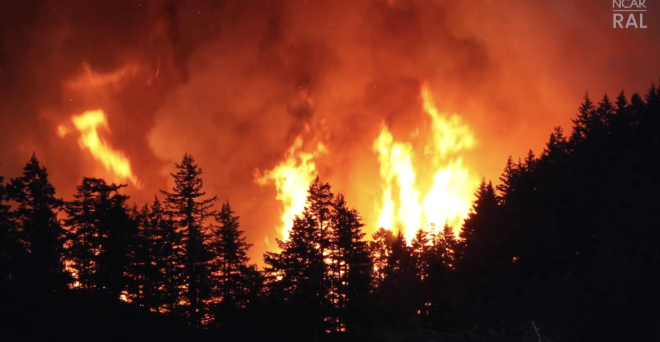 National Interagency Fire Center, Wildfire Flames