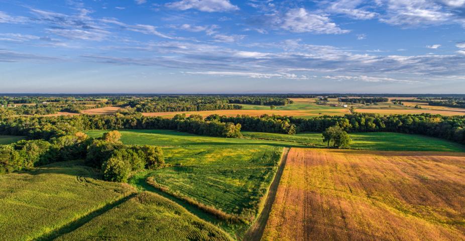 An aerial drone photo over the fields and dirt road lanes in the fields during the golden light of the morning.