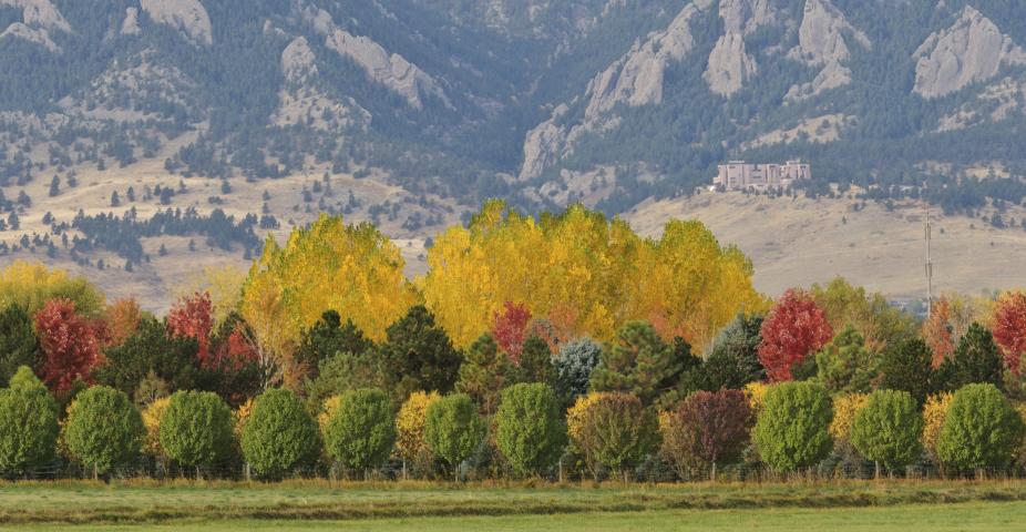 Colorful autumn leaves with Flatirons as backdrop