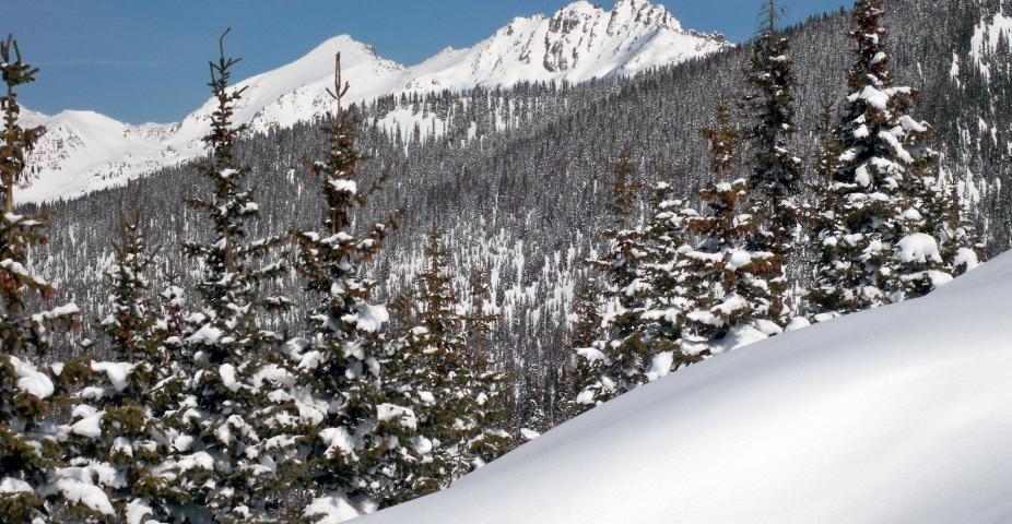 A wintery scene near the headwaters of the Colorado River outside of Vail, Colorado.