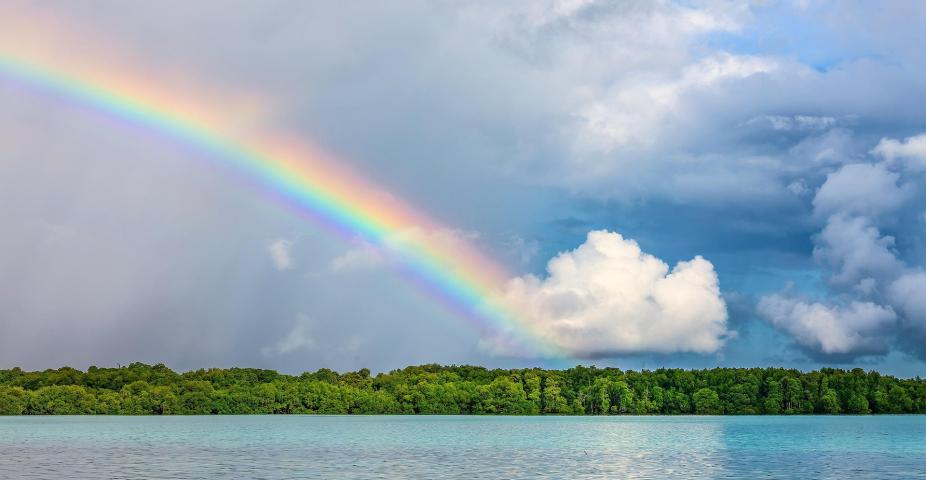 Landscape, Nature, Rainbow image. Image by Kanenori from Pixabay