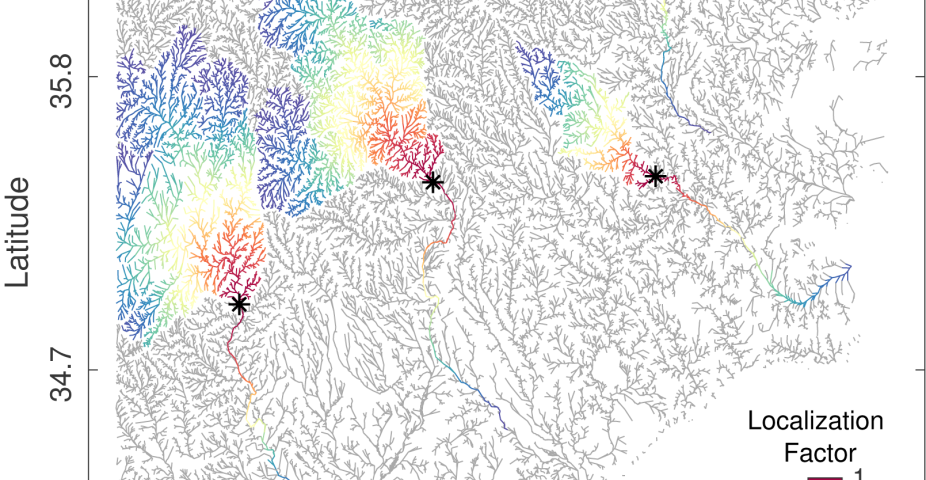 A depiction of the along-the-stream localization scheme implemented in the project. The asterisks depict stream flow gauges and the rainbow-colored segments depict the specific areas affected by the assimilated data.