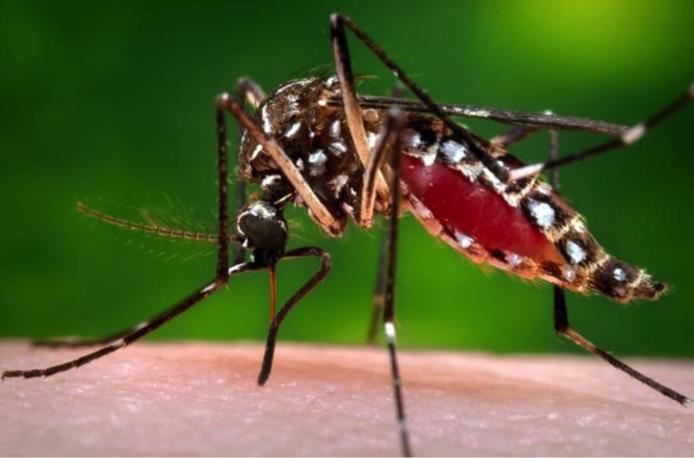 WHATCH’EM is now being leveraged for use in other model-based studies funded by NASA, NIH and DTRA to develop an early warning system for dengue risk.
