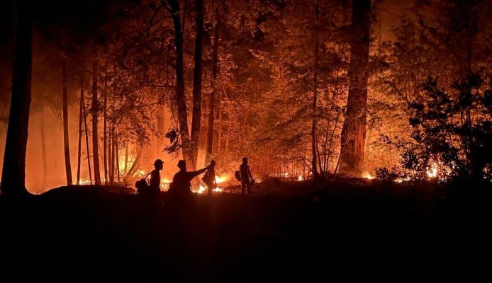 National Interagency Fire Center photo of firefighters surrounded by forest fire.