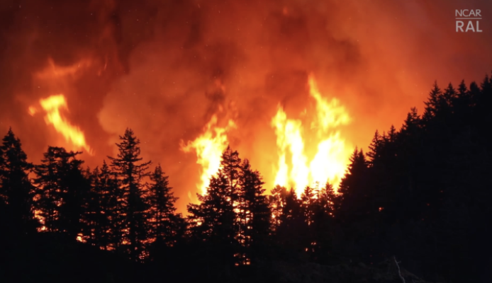National Interagency Fire Center, Wildfire Flames