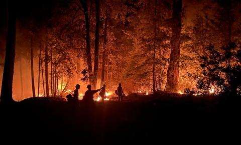 National Interagency Fire Center photo of firefighters surrounded by forest fire.