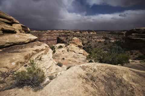Storm over Big Spring Canyon in the Needles District of Canyonlands National Park, Utah