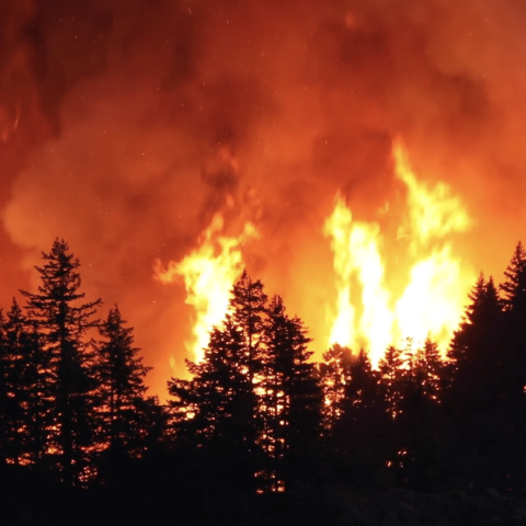 National Interagency Fire Center, Wildfire Flames