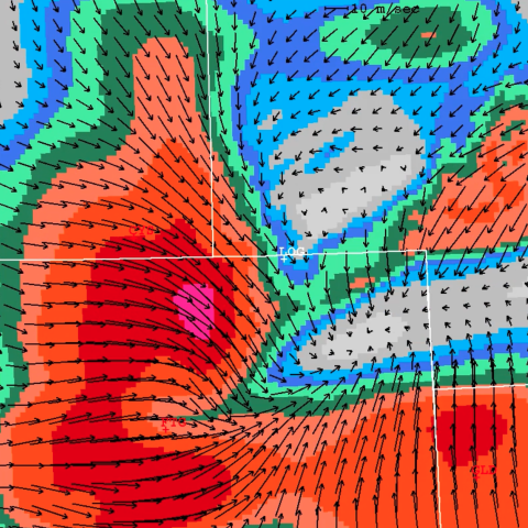 Fine-Scale Analysis and Nowcast System (FINECAST®)
