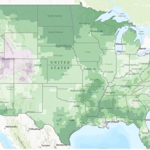 Air Pollution Impact on Vegetation Dashboard