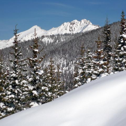 A wintery scene near the headwaters of the Colorado River outside of Vail, Colorado.