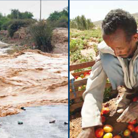 Valuing Weather and Climate: Economic Assessment of Meteorological and Hydrological Services Valuing Weather and Climate: Economic Assessment of Meteorological and Hydrological Services