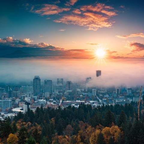 A photograph of Portland downtown with rolling fog and autumn foliage in shining sunrise and colorful clouds A photograph of Portland downtown with rolling fog and autumn foliage in shining sunrise and colorful clouds