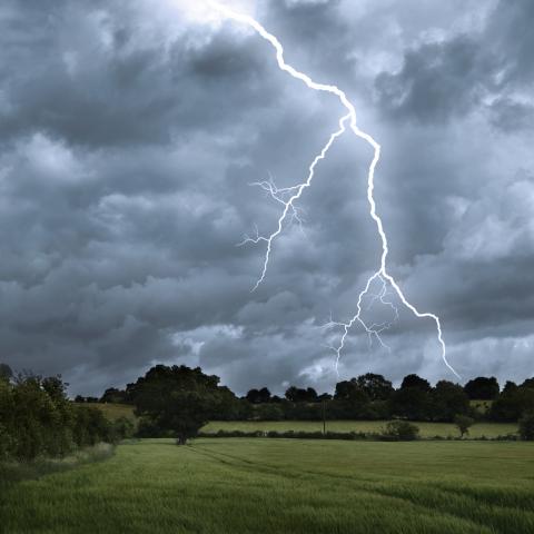 Ensemble Weather Forecast Translation into Impact Predictions Ensemble Weather Forecast Translation into Impact Predictions