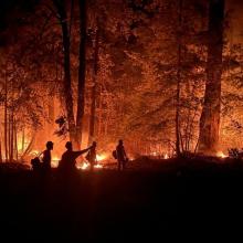 National Interagency Fire Center photo of firefighters surrounded by forest fire.