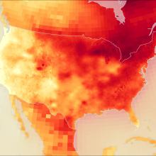 Datasets