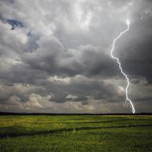 iStock_000004387298Large_sm.jpg