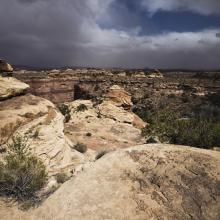 iStock_000009481651Medium.jpg