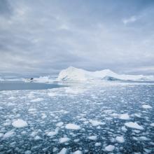 iStock_000014112061Large.jpg