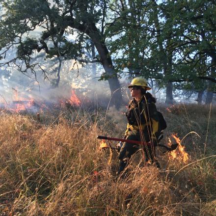 National Interagency Fire Center_nifc.gov