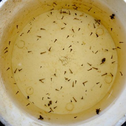 WHATCH’EM (Water Height And Temperature in Container Habitats Energy Model)