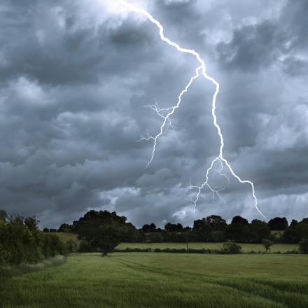 Ensemble Weather Forecast Translation into Impact Predictions